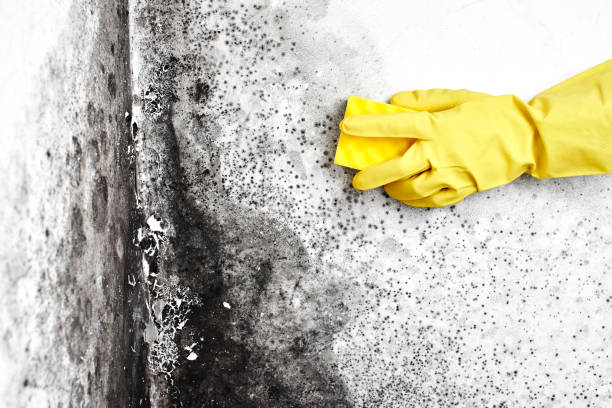 Water Damage Restoration in Petersburg, IN