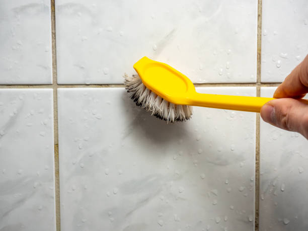Best Water Damage Restoration  in Petersburg, IN