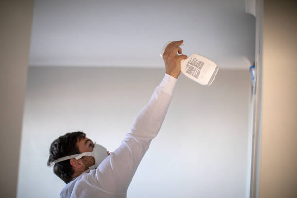 Best Mold Damage Repair  in Petersburg, IN