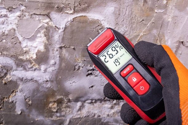 Petersburg, IN Mold Removal Company