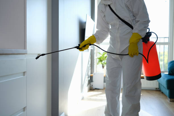 Best Mold Damage Repair  in Petersburg, IN