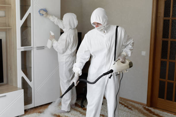 Certified Mold Removal in Petersburg, IN