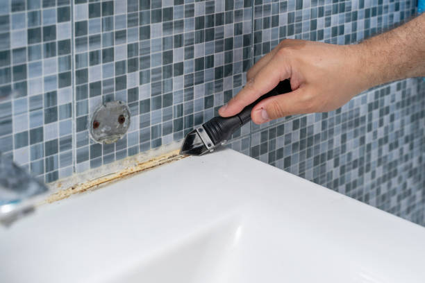 Best Mold Inspection  in Petersburg, IN